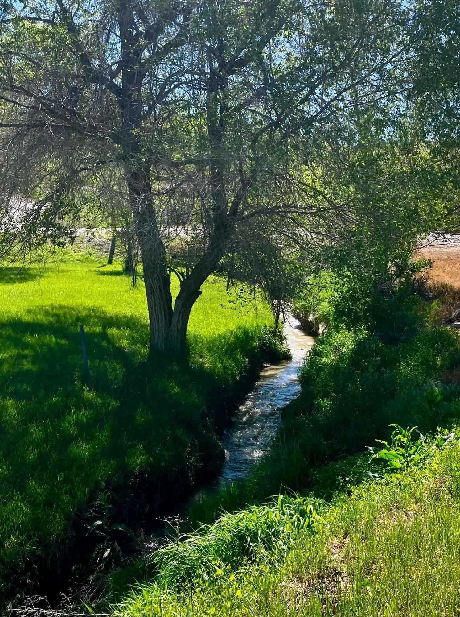 Let'S Go ! Fisherman, Families, Pools One Minute From Your Door, Comfort, Location Perfect, Amenity-Rich, Pup Friendly, Discover An Exceptional Wyoming Stay, Thermopolis River Walk Home At Hot Springs State Park, 'Where Families And Fisherman Stay' Eksteriør billede