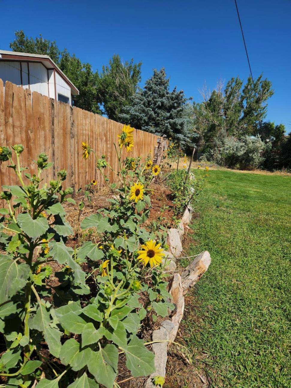 Let'S Go ! Fisherman, Families, Pools One Minute From Your Door, Comfort, Location Perfect, Amenity-Rich, Pup Friendly, Discover An Exceptional Wyoming Stay, Thermopolis River Walk Home At Hot Springs State Park, 'Where Families And Fisherman Stay' Eksteriør billede